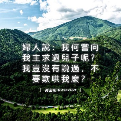 Picture 05 - 列 王 紀 下 4:28 CUVT - 婦 人 說 ： 我 何 嘗 向 我 主 求 過 - Bible Verse Picture