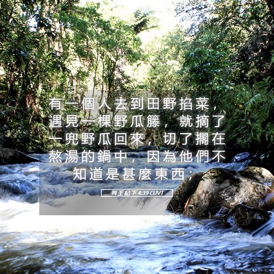Picture 05 - 列 王 紀 下 4:39 CUVT - 有 一 個 人 去 到 田 野 掐 菜 ， 遇 - Bible Verse Picture