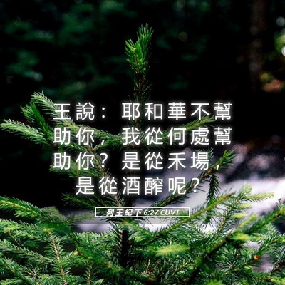 Picture 05 - 列 王 紀 下 6:27 CUVT - 王 說 ： 耶 和 華 不 幫 助 你 ， 我 - Bible Verse Picture