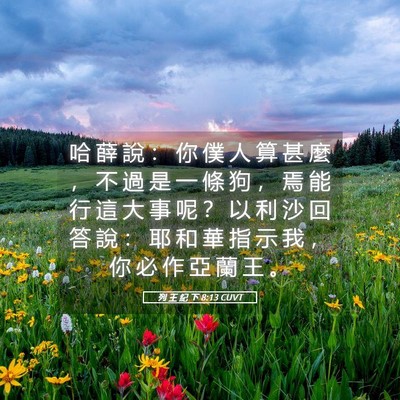Picture 05 - 列 王 紀 下 8:13 CUVT - 哈 薛 說 ： 你 僕 人 算 甚 麼 ， 不 - Bible Verse Picture