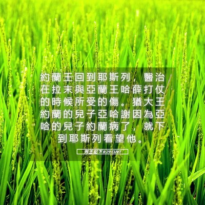 Picture 05 - 列 王 紀 下 8:29 CUVT - 約 蘭 王 回 到 耶 斯 列 ， 醫 治 在 - Bible Verse Picture
