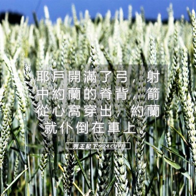 Picture 05 - 列 王 紀 下 9:24 CUVT - 耶 戶 開 滿 了 弓 ， 射 中 約 蘭 的 - Bible Verse Picture