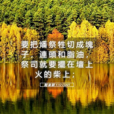 Picture 05 - 利 未 記 1:12 CUVT - 要 把 燔 祭 牲 切 成 塊 子 ， 連 頭 - Bible Verse Picture