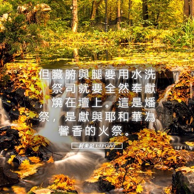 Picture 05 - 利 未 記 1:13 CUVT - 但 臟 腑 與 腿 要 用 水 洗 ， 祭 司 - Bible Verse Picture