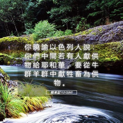 Picture 05 - 利 未 記 1:2 CUVT - 你 曉 諭 以 色 列 人 說 ： 你 們 中 - Bible Verse Picture