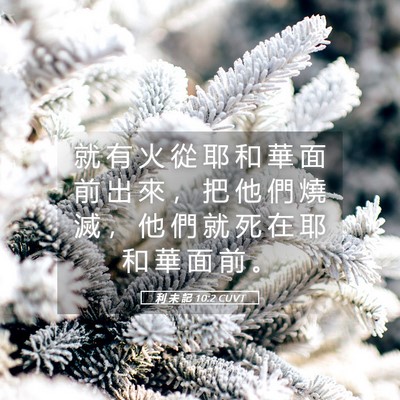 Picture 05 - 利 未 記 10:2 CUVT - 就 有 火 從 耶 和 華 面 前 出 來 ， - Bible Verse Picture