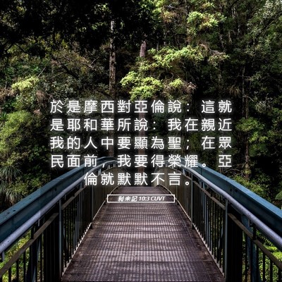Picture 05 - 利 未 記 10:3 CUVT - 於 是 摩 西 對 亞 倫 說 ： 這 就 是 - Bible Verse Picture