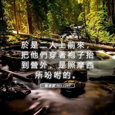 Picture 05 - 利 未 記 10:5 CUVT - 於 是 二 人 上 前 來 ， 把 他 們 穿 - Bible Verse Picture