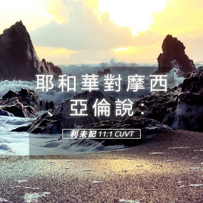 Picture 05 - 利 未 記 11:1 CUVT - 耶 和 華 對 摩 西 、 亞 倫 說 - Bible Verse Picture