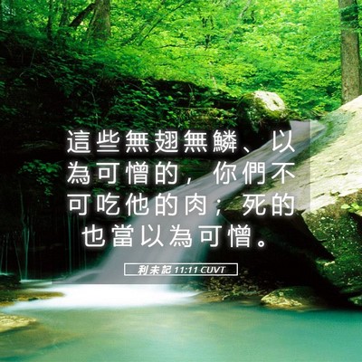 Picture 05 - 利 未 記 11:11 CUVT - 這 些 無 翅 無 鱗 、 以 為 可 憎 的 - Bible Verse Picture