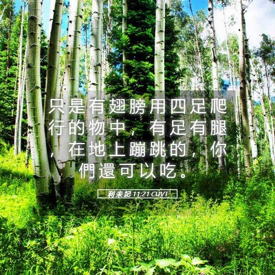 Picture 05 - 利 未 記 11:21 CUVT - 只 是 有 翅 膀 用 四 足 爬 行 的 物 - Bible Verse Picture