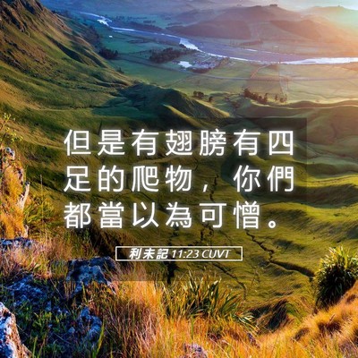 Picture 05 - 利 未 記 11:23 CUVT - 但 是 有 翅 膀 有 四 足 的 爬 物 ， - Bible Verse Picture