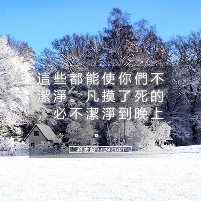 Picture 05 - 利 未 記 11:24 CUVT - 這 些 都 能 使 你 們 不 潔 淨 。 凡 - Bible Verse Picture