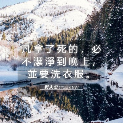 Picture 05 - 利 未 記 11:25 CUVT - 凡 拿 了 死 的 ， 必 不 潔 淨 到 晚 - Bible Verse Picture