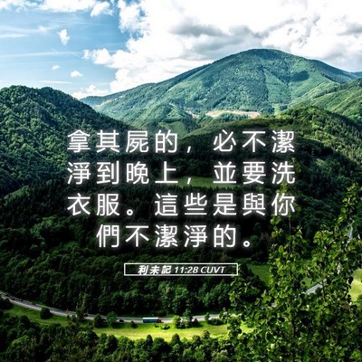 Picture 05 - 利 未 記 11:28 CUVT - 拿 其 屍 的 ， 必 不 潔 淨 到 晚 上 - Bible Verse Picture