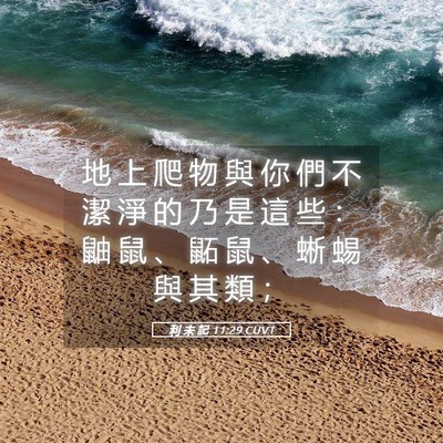 Picture 05 - 利 未 記 11:29 CUVT - 地 上 爬 物 與 你 們 不 潔 淨 的 乃 - Bible Verse Picture