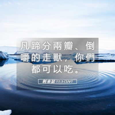 Picture 05 - 利 未 記 11:3 CUVT - 凡 蹄 分 兩 瓣 、 倒 嚼 的 走 獸 ， - Bible Verse Picture
