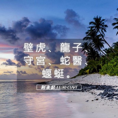 Picture 05 - 利 未 記 11:30 CUVT - 壁 虎 、 龍 子 、 守 宮 、 蛇 醫 、 - Bible Verse Picture