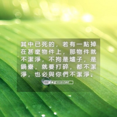 Picture 05 - 利 未 記 11:35 CUVT - 其 中 已 死 的 ， 若 有 一 點 掉 在 - Bible Verse Picture