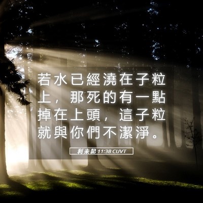 Picture 05 - 利 未 記 11:38 CUVT - 若 水 已 經 澆 在 子 粒 上 ， 那 死 - Bible Verse Picture