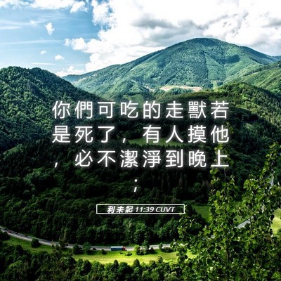 Picture 05 - 利 未 記 11:39 CUVT - 你 們 可 吃 的 走 獸 若 是 死 了 ， - Bible Verse Picture