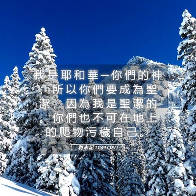 Picture 05 - 利 未 記 11:44 CUVT - 我 是 耶 和 華 ─ 你 們 的 神 ； 所 - Bible Verse Picture