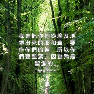 Picture 05 - 利 未 記 11:45 CUVT - 我 是 把 你 們 從 埃 及 地 領 出 來 - Bible Verse Picture