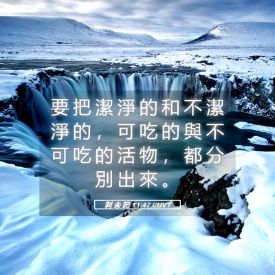 Picture 05 - 利 未 記 11:47 CUVT - 要 把 潔 淨 的 和 不 潔 淨 的 ， 可 - Bible Verse Picture