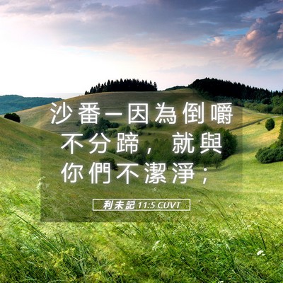 Picture 05 - 利 未 記 11:5 CUVT - 沙 番 ─ 因 為 倒 嚼 不 分 蹄 ， 就 - Bible Verse Picture
