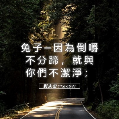 Picture 05 - 利 未 記 11:6 CUVT - 兔 子 ─ 因 為 倒 嚼 不 分 蹄 ， 就 - Bible Verse Picture