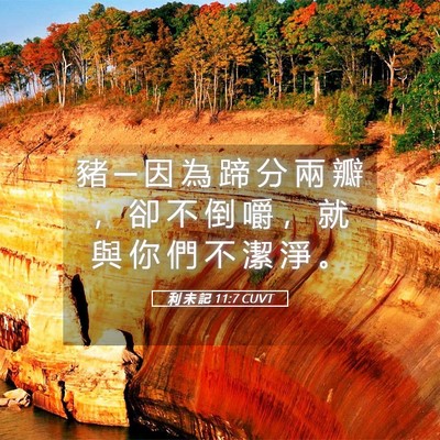 Picture 05 - 利 未 記 11:7 CUVT - 豬 ─ 因 為 蹄 分 兩 瓣 ， 卻 不 倒 - Bible Verse Picture