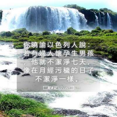 Picture 05 - 利 未 記 12:2 CUVT - 你 曉 諭 以 色 列 人 說 ： 若 有 婦 - Bible Verse Picture