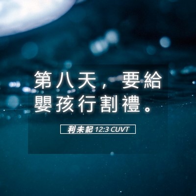 Picture 05 - 利 未 記 12:3 CUVT - 第 八 天 ， 要 給 嬰 孩 行 割 禮 - Bible Verse Picture