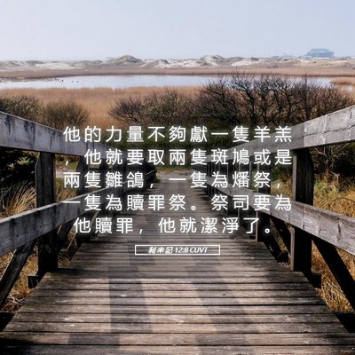 Picture 05 - 利 未 記 12:8 CUVT - 他 的 力 量 不 夠 獻 一 隻 羊 羔 ， - Bible Verse Picture