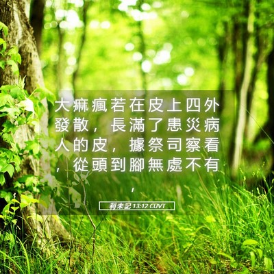 Picture 05 - 利 未 記 13:12 CUVT - 大 痲 瘋 若 在 皮 上 四 外 發 散 ， - Bible Verse Picture