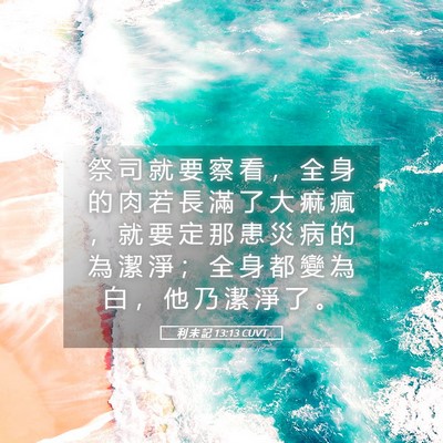 Picture 05 - 利 未 記 13:13 CUVT - 祭 司 就 要 察 看 ， 全 身 的 肉 若 - Bible Verse Picture