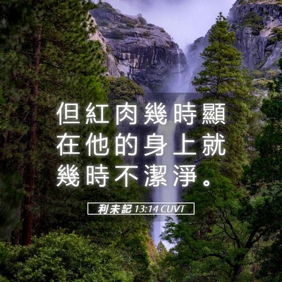 Picture 05 - 利 未 記 13:14 CUVT - 但 紅 肉 幾 時 顯 在 他 的 身 上 就 - Bible Verse Picture