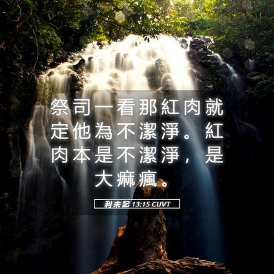 Picture 05 - 利 未 記 13:15 CUVT - 祭 司 一 看 那 紅 肉 就 定 他 為 不 - Bible Verse Picture