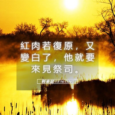 Picture 05 - 利 未 記 13:16 CUVT - 紅 肉 若 復 原 ， 又 變 白 了 ， 他 - Bible Verse Picture