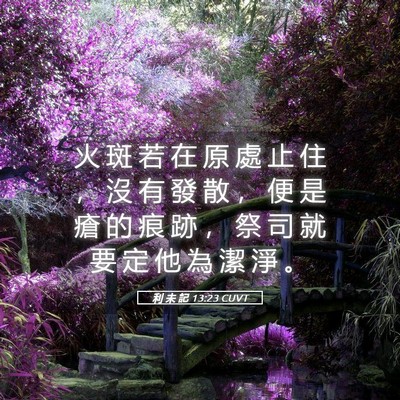 Picture 05 - 利 未 記 13:23 CUVT - 火 斑 若 在 原 處 止 住 ， 沒 有 發 - Bible Verse Picture