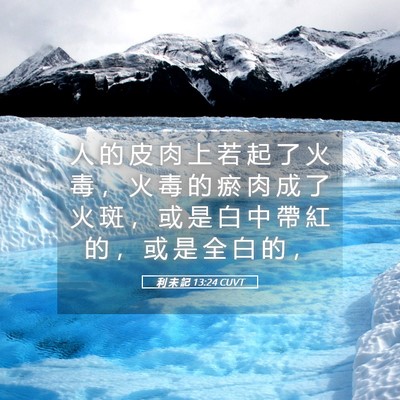 Picture 05 - 利 未 記 13:24 CUVT - 人 的 皮 肉 上 若 起 了 火 毒 ， 火 - Bible Verse Picture