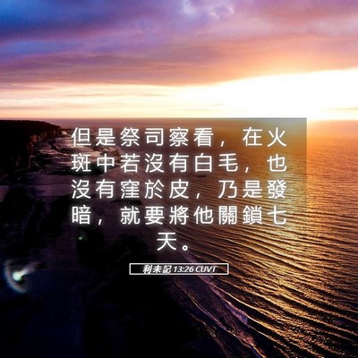 Picture 05 - 利 未 記 13:26 CUVT - 但 是 祭 司 察 看 ， 在 火 斑 中 若 - Bible Verse Picture