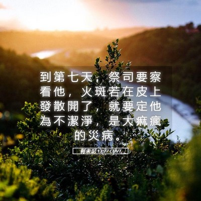 Picture 05 - 利 未 記 13:27 CUVT - 到 第 七 天 ， 祭 司 要 察 看 他 ， - Bible Verse Picture
