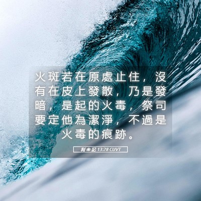 Picture 05 - 利 未 記 13:28 CUVT - 火 斑 若 在 原 處 止 住 ， 沒 有 在 - Bible Verse Picture