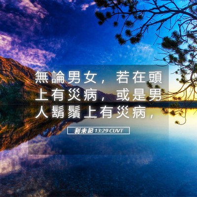 Picture 05 - 利 未 記 13:29 CUVT - 無 論 男 女 ， 若 在 頭 上 有 災 病 - Bible Verse Picture