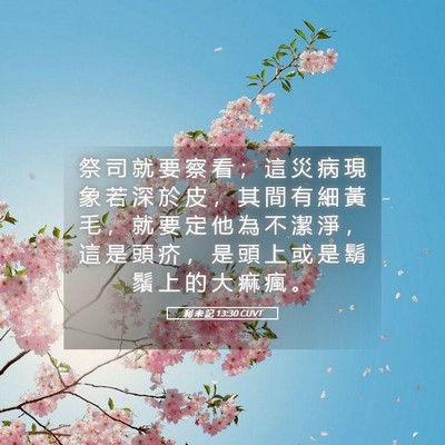 Picture 05 - 利 未 記 13:30 CUVT - 祭 司 就 要 察 看 ； 這 災 病 現 象 - Bible Verse Picture