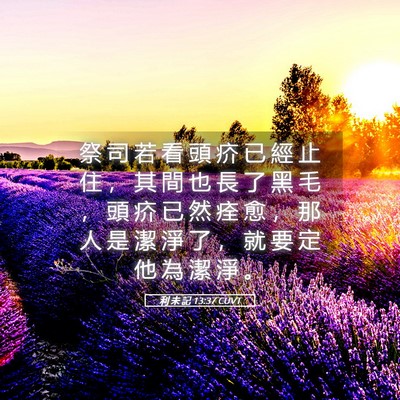 Picture 05 - 利 未 記 13:37 CUVT - 祭 司 若 看 頭 疥 已 經 止 住 ， 其 - Bible Verse Picture