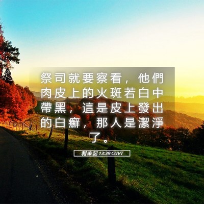 Picture 05 - 利 未 記 13:39 CUVT - 祭 司 就 要 察 看 ， 他 們 肉 皮 上 - Bible Verse Picture