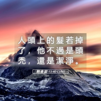 Picture 05 - 利 未 記 13:40 CUVT - 人 頭 上 的 髮 若 掉 了 ， 他 不 過 - Bible Verse Picture