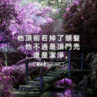 Picture 05 - 利 未 記 13:41 CUVT - 他 頂 前 若 掉 了 頭 髮 ， 他 不 過 - Bible Verse Picture